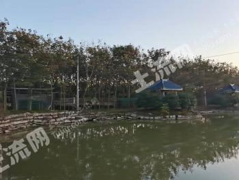 江苏连云港灌南县 80亩 耕地 经营权转让