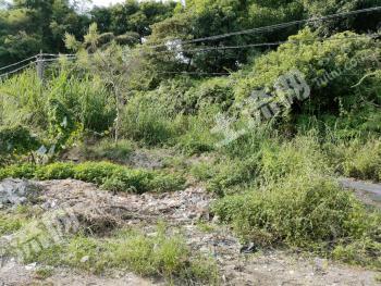 江门蓬江区 6亩 空闲地 使用权转让