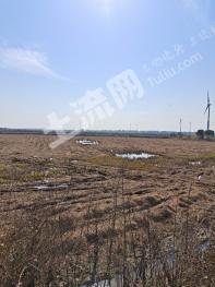 黄冈武穴市 40亩 坑塘水面 经营权转包