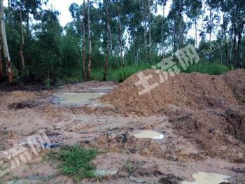 海南昌江黎族自治县 160亩 水浇地 经营权出租