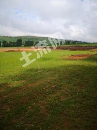 白城洮南市 45亩 综合养殖用地 经营权转让