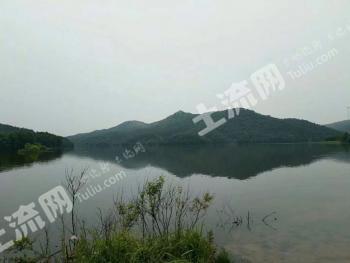 南阳唐河县 1900亩 有林地 经营权转让