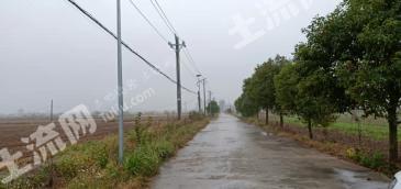 黄冈黄梅县130亩水浇地使用权经营权出租