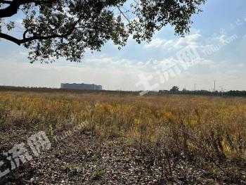 上海嘉定区 208亩 仓储用地 招拍挂