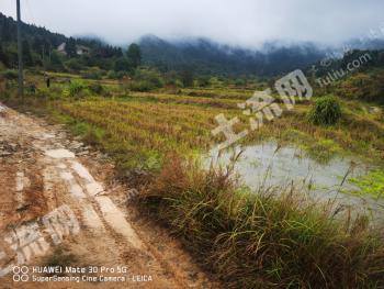 萍乡莲花县220亩水浇地经营权出租