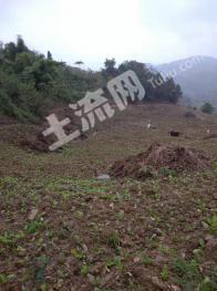 广安邻水县 2000亩 旱地 经营权出租