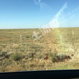 鄂尔多斯鄂托克旗 2800亩 水浇地 经营权出租