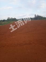 海口美兰区 83亩 旱地 经营权出租