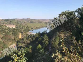 黔南荔波县 15000亩 其它林地 经营权转让