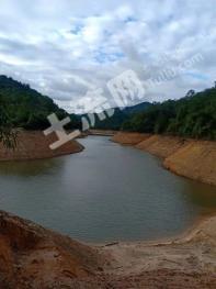 肇庆德庆县 560亩 水库 经营权转让
