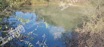 十堰郧阳区5亩坑塘经营权出租