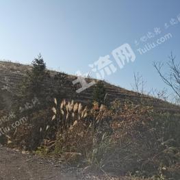 黔东南三穗县 1700亩 其它耕地 经营权出租