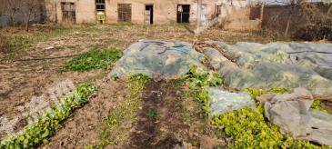 邯郸成安县 607平米 宅基地 使用权出租