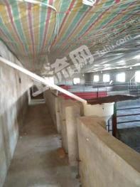 襄阳市宜城市 60亩 农场 使用权出租