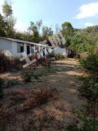 保山昌宁县 57.1亩 灌木林地 经营权转让