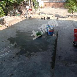 湛江湛江经济技术开发区东海岛 1300平米 农村宅基地 使用权出租