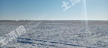 黑河五大连池市45000亩旱地经营权出租