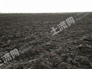 巴音郭楞且末县 330亩 旱地 经营权转让