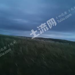 锡林郭勒盟东乌珠穆沁旗 8000亩 天然牧草地 经营权出租