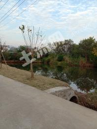 桂林七星区 3亩 空闲地 使用权转让