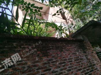 清远清城区380平米宅基地使用权出租