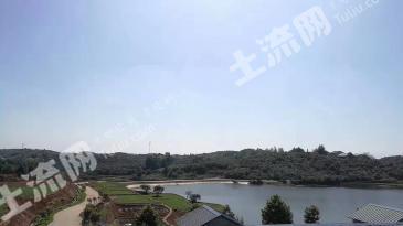 株洲茶陵县 60亩 其它耕地 经营权转让