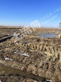 盘锦盘山县 700亩 水田 经营权出租
