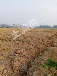 绵阳安州区 1200亩 水田经营权 出租