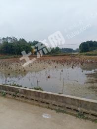 绵阳安州区5亩坑塘经营权转让