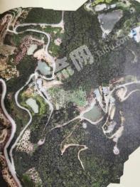 厦门同安区 55亩 果园 经营权出租