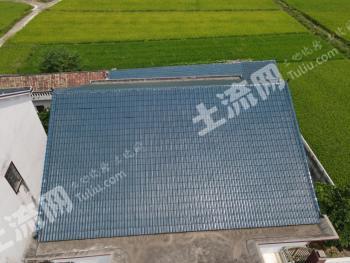 株洲攸县393亩水田经营权出租