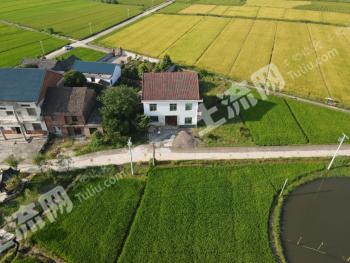 株洲攸县500亩水田出租