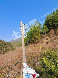 郴州临武县 51亩 果园 经营权出租