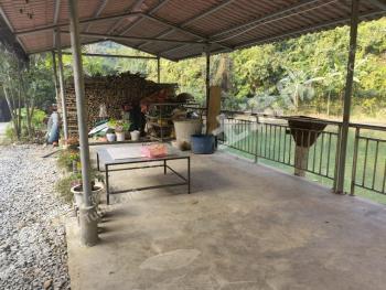 红河河口瑶族自治县 5亩 坑塘水面 经营权出租