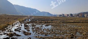 郴州临武县 50亩 水田 经营权出租