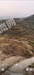 赣州兴国县 900亩 果园经营权 转让