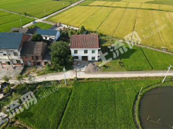 株洲攸县500亩水田经营权出租