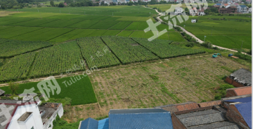 株洲攸县1000亩水田经营权出租