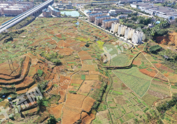 遵义绥阳县 101.79平米 商业用地 转让