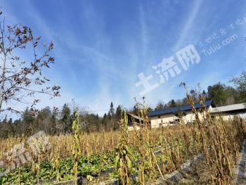 恩施巴东县 100亩 其它林地 经营权出租