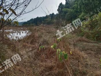 资阳安岳县300亩水田地经营权出租