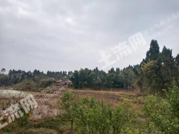 资阳安岳县800亩旱地经营权出租