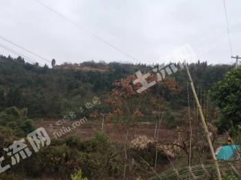 资阳安岳县1000亩荒地经营权出租