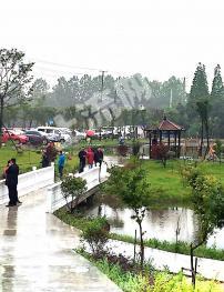 泰州靖江市 55亩 果园 经营权转让