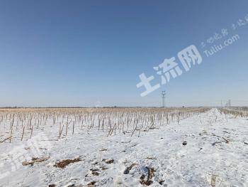 新疆阿勒泰 7000亩 旱地经营权 出租