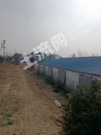 六安霍邱县 125亩 畜牧养殖用地 经营权转让/出租