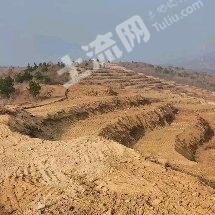 随州随县 300亩 果园 经营权出租