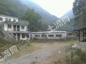 百色平果县 50亩 农场 使用权出租