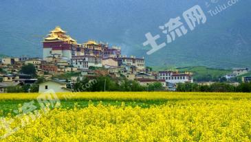 迪庆香格里拉市 1350平米 农家庭院使用权 出租