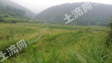 郴州临武县 100亩 其它林地 经营权出租